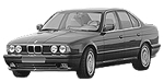 BMW E34 P174B Fault Code